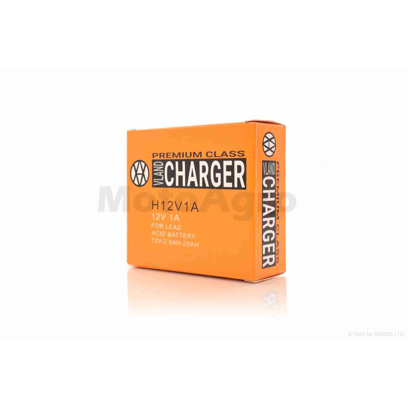 Зарядний пристрій АКБ  12V  2.5/20Ah  "VLAND"
