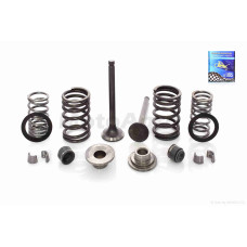 Клапани ГРМ d16/18.5 h64 на китайський скутер 50 у зборі "LIPAI"