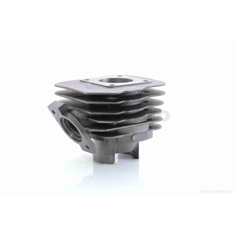 ЦПГ  DIO  39mm  "JWBP"