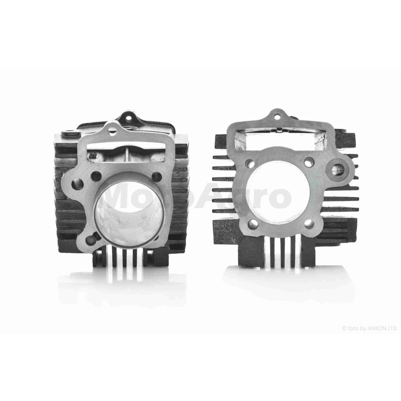 ЦПГ  Delta 110 (152FMH, C110)  D52.4, p13, h69  тефлон  #PRO  "LIPAI"