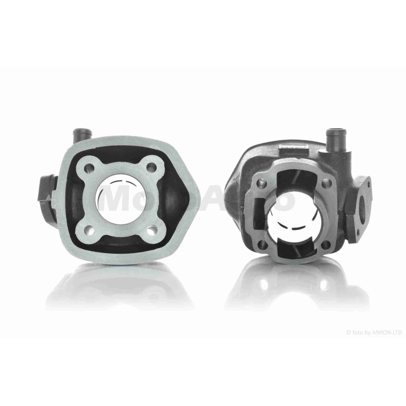 ЦПГ  Aprilia SR50  D40  #PRO  "LIPAI"