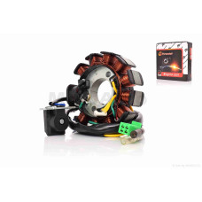 Генератор (статор) на китайський скутер 150 10 +1 "F6"