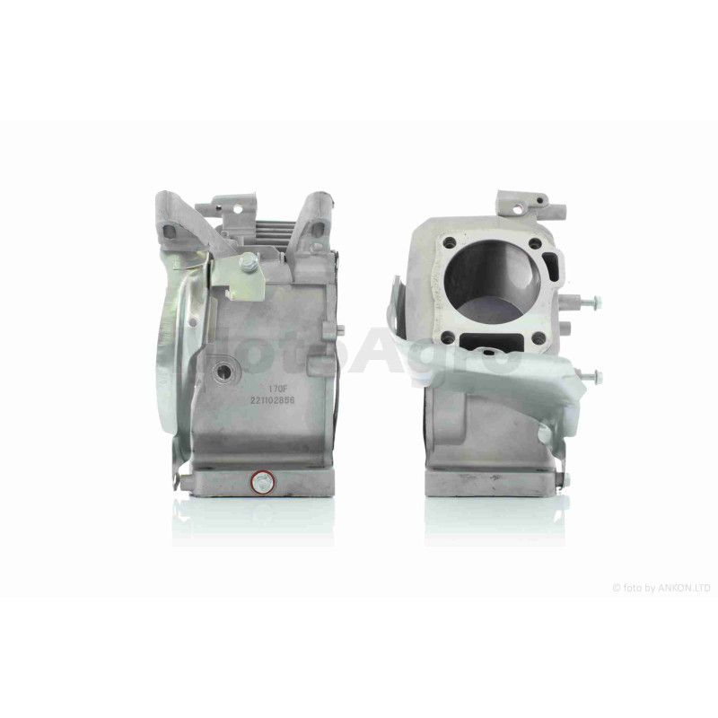 Блок двигуна м/б  170F  +підшипник, сальник, болти