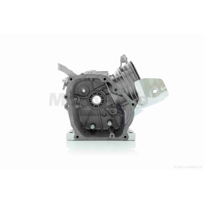 Блок двигуна м/б  170F  +підшипник, сальник, болти