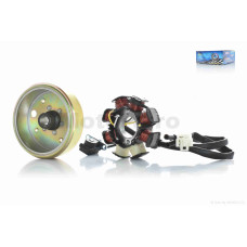 Генератор (у зборі) на китайський скутер 50 6+2 вертикальне кріплення статора "LIPAI"