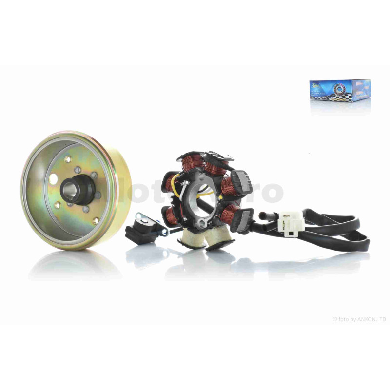 Генератор (у зборі)  GY6 50  6+2  вертикальне кріплення статора  "LIPAI"