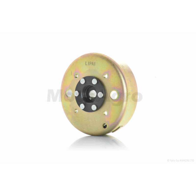 Генератор (у зборі)  GY6 50  6+2  вертикальне кріплення статора  "LIPAI"