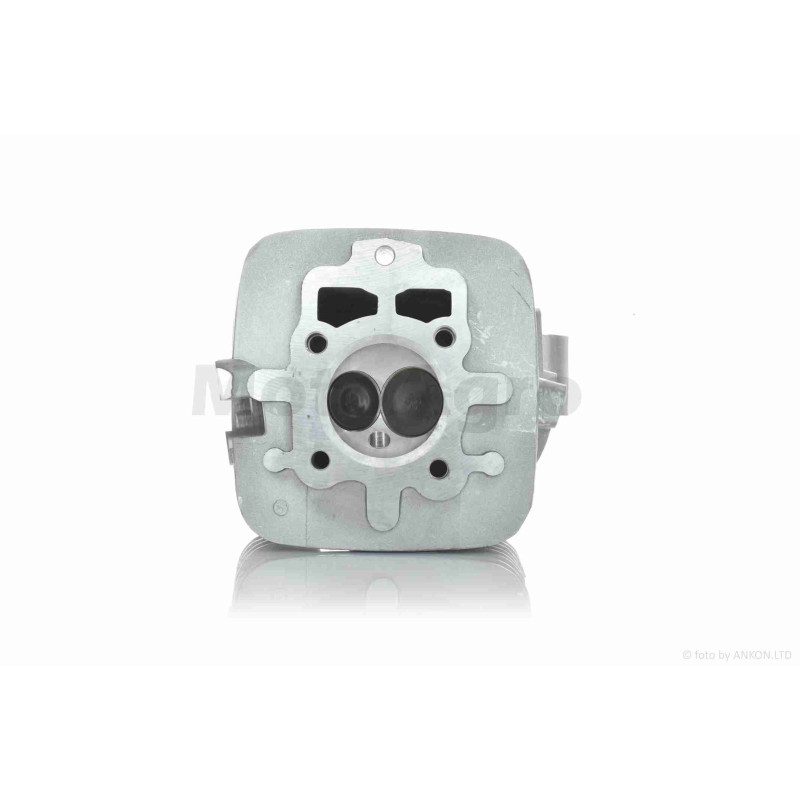 Головка циліндра  167FMM  CG250  D67, d28/34 у зборі  "LIPAI"