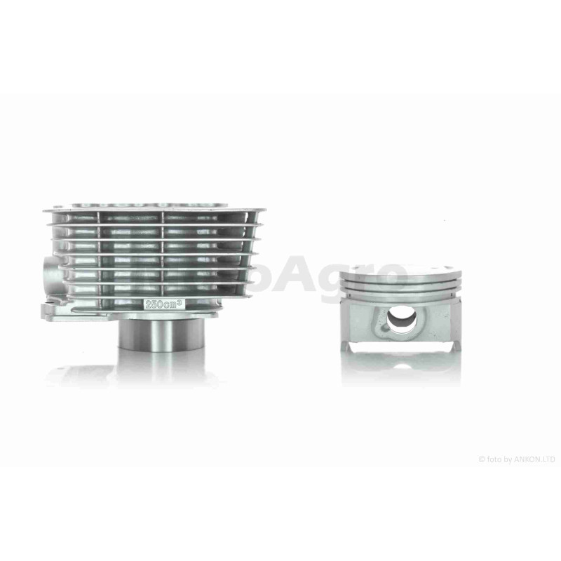 ЦПГ  CGN250 (166FMM)  D65.5, p15, h82  #PRO  "LIPAI"
