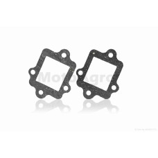 Прокладки пелюсткового клапана AD110