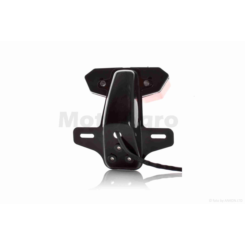 Стоп у зборі  Delta  діодний без поворотів, тонований, підсвічування номера  +кронштейн  #5  "LIPAI"