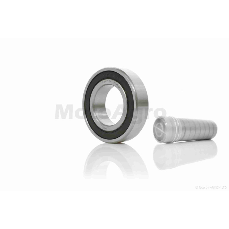 Підшипник 6005-2RS 25-47-12 тубус