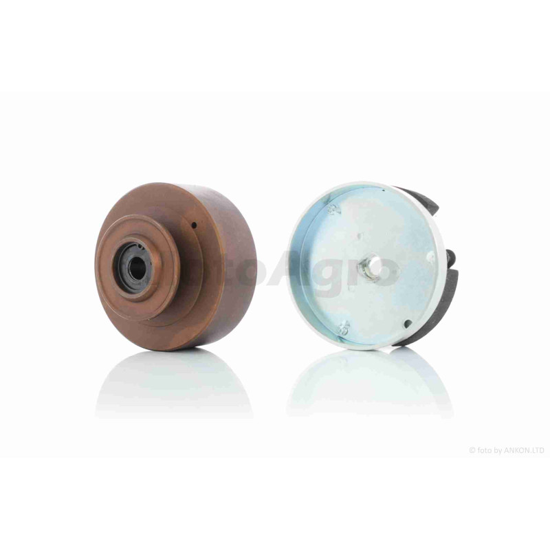 Варіатор (відцентрове зчеплення)  PIAGGIO CIAO  у зборі