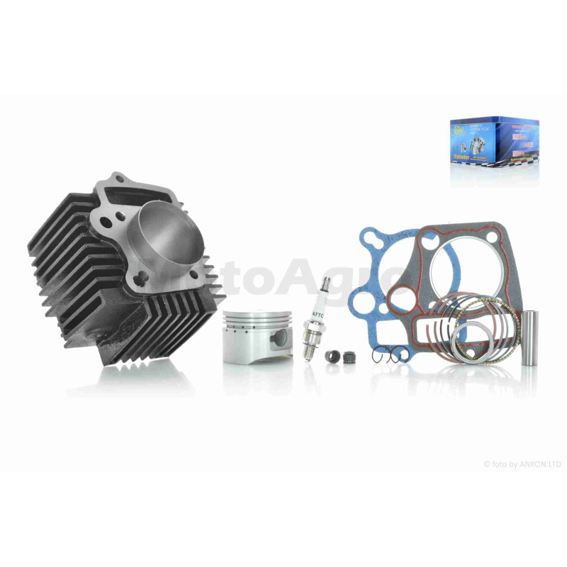 ЦПГ  Delta 120/125 (152FMI C120)  D52.4, p13, h78.3, чавун  #PRO  "LIPAI"