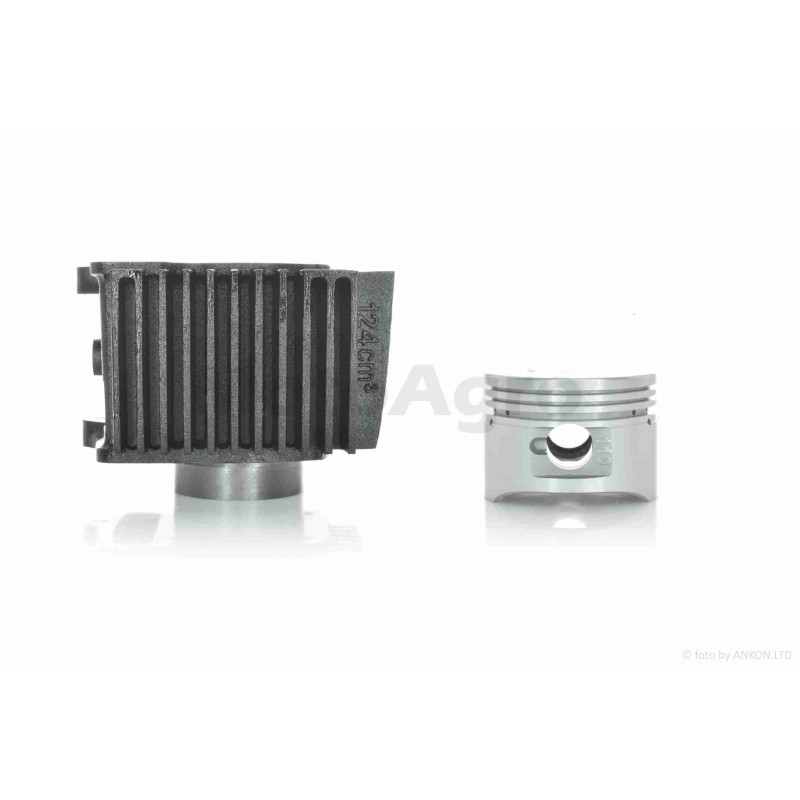 ЦПГ  Delta 120/125 (152FMI C120)  D52.4, p13, h78.3, чавун  #PRO  "LIPAI"