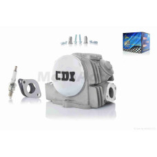 Головка циліндра 152FMI TTR125 D52.4 d20/23 у зборі PRO "LIPAI"