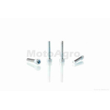 Болти кришки варіатора к-кт на скутер сузукі летс (4шт під шестигранник)