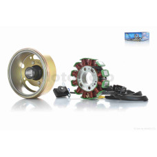 Генератор (у зборі) на китайський скутер 150 12 "LIPAI"