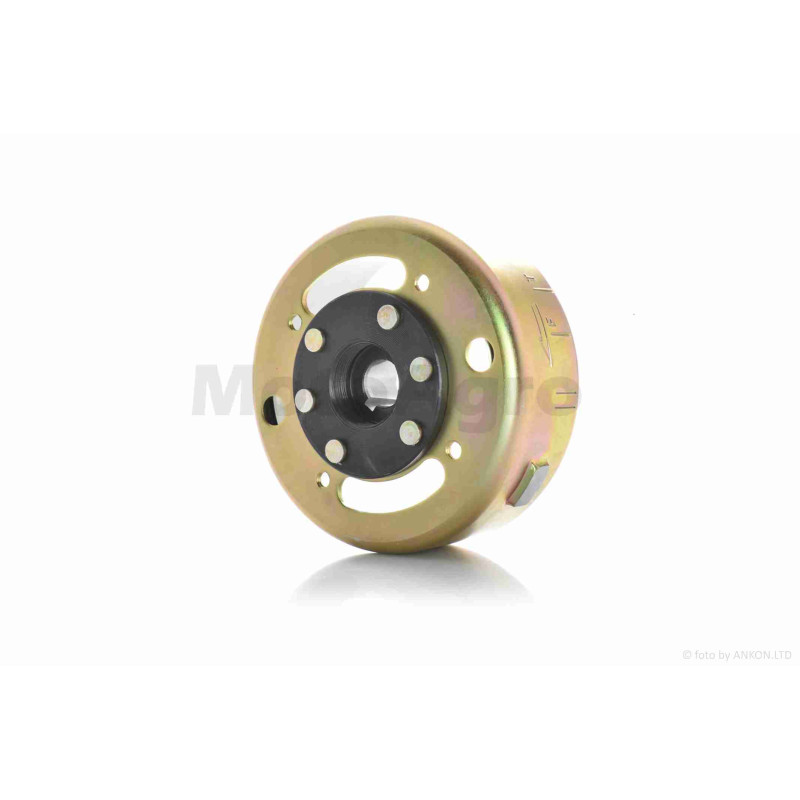 Генератор (у зборі)  GY6 150  12  "LIPAI"