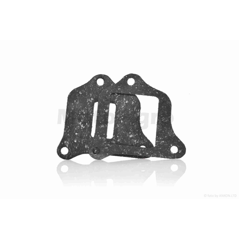 Прокладки пелюсткового клапана  DIO ZX 3  болта