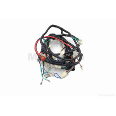 Проводка ZUBR