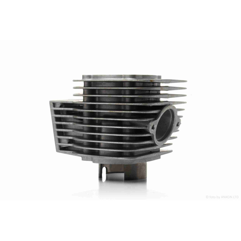 Циліндр голий  Мураха