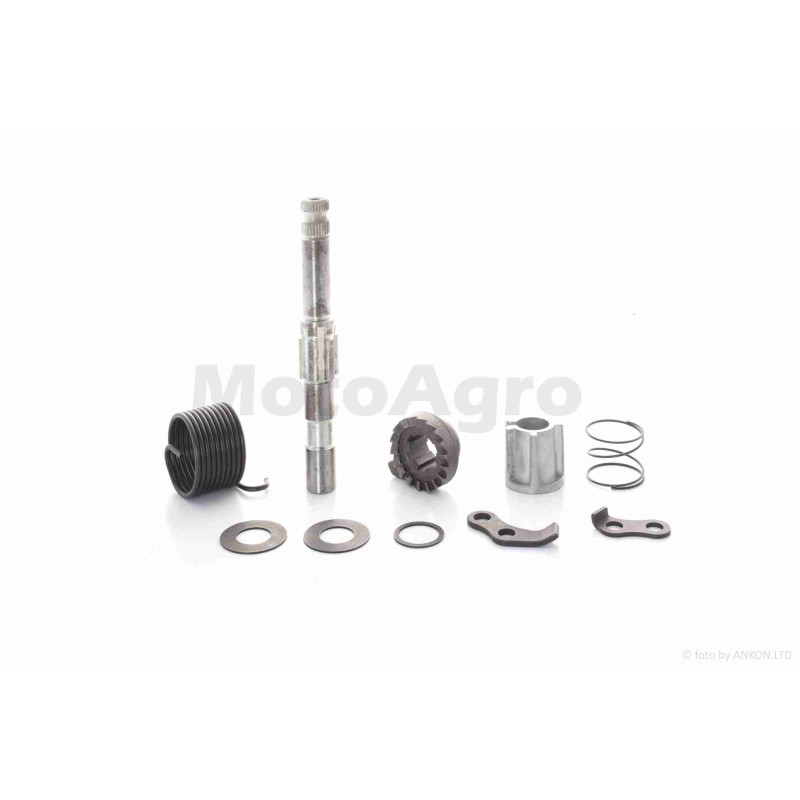 Сектор кікстартера  DRAGON 200, MATADOR 200 (K166FML)  у зборі  "SKYMOTO"