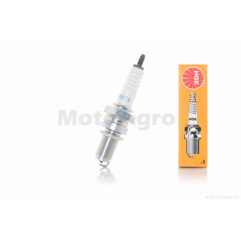 Свічка запалювання  4T  M12x1.25  L19  DR8EA  "NGK"  (оригінал)