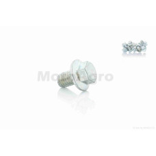 Болт із фланцем M8 L12 (10шт хром)