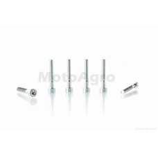 Болти картера к-кт YAMAHA (6шт під шестигранник)