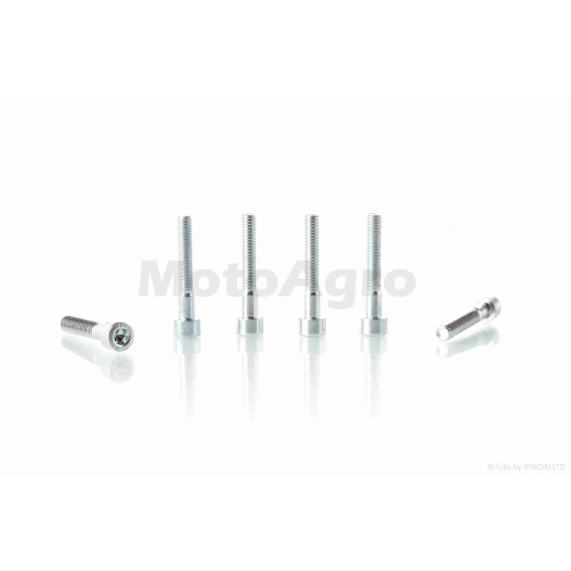 Болти картера к-кт  YAMAHA  (6шт, під шестигранник)