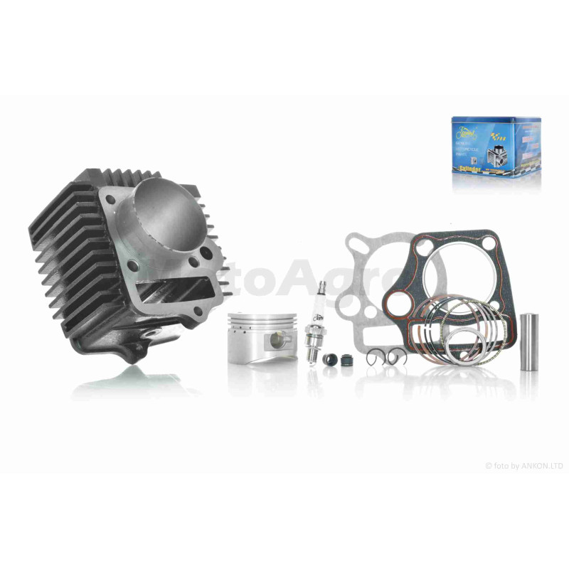 ЦПГ  Delta 125, TTR125-1 (154FMI-2 S125)  D54, p14, h69, чавун  #PRO  "LIPAI"