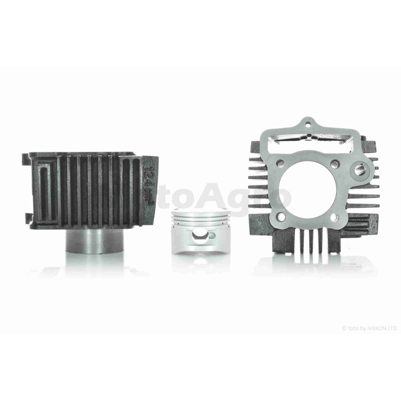 ЦПГ  Delta 125, TTR125-1 (154FMI-2 S125)  D54, p14, h69, чавун  #PRO  "LIPAI"