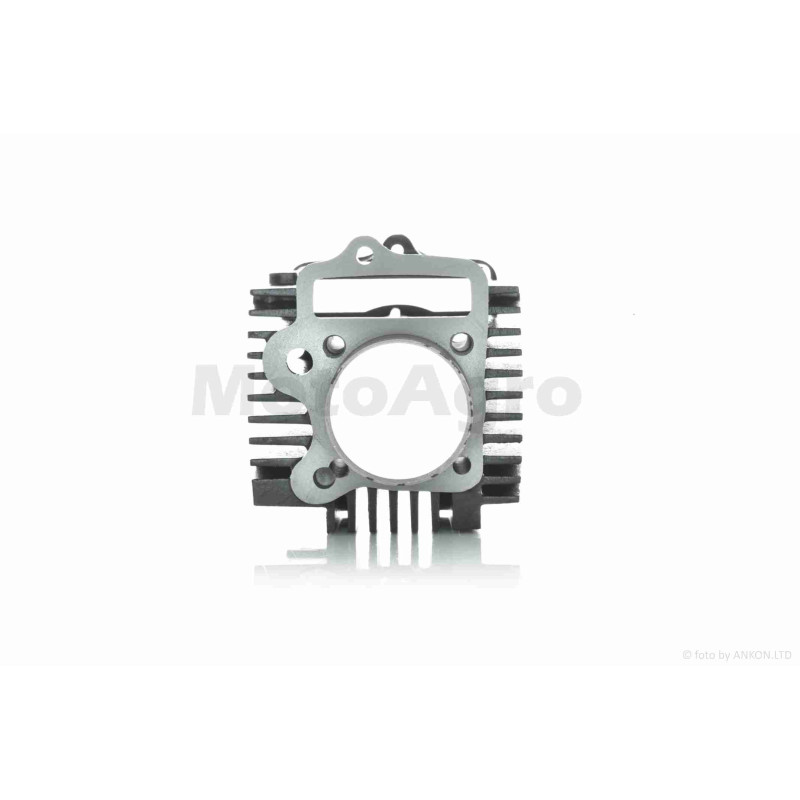 ЦПГ  Delta 125, TTR125-1 (154FMI-2 S125)  D54, p14, h69, чавун  #PRO  "LIPAI"