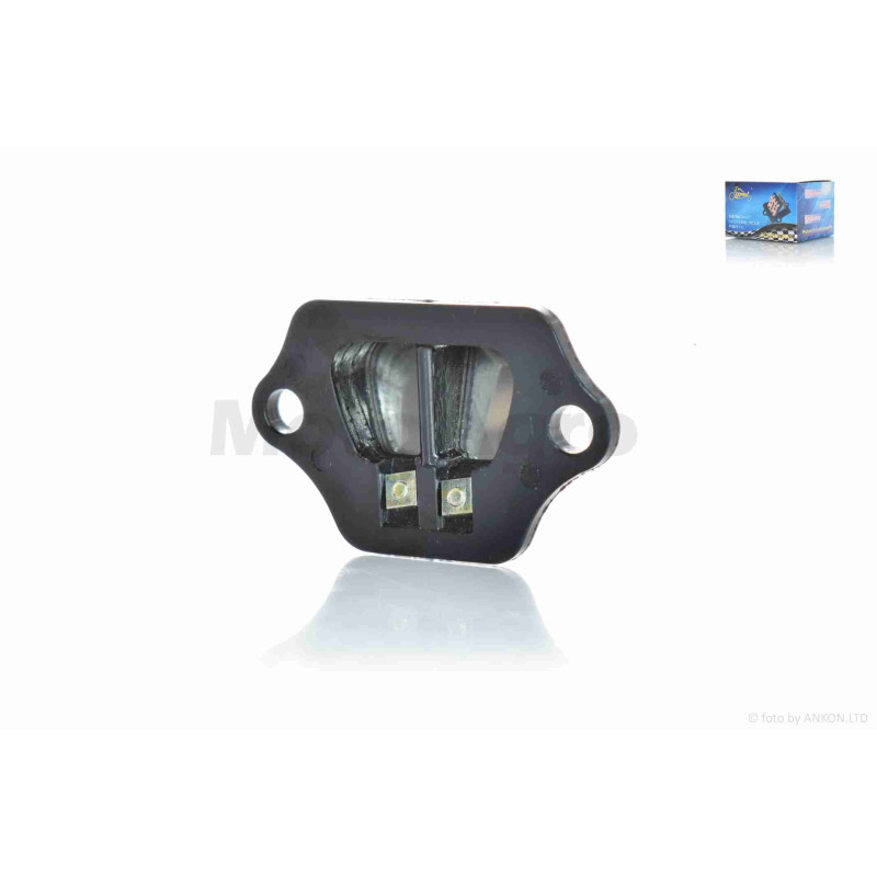 Клапан пелюстковий  PAL 1/2  "LIPAI"