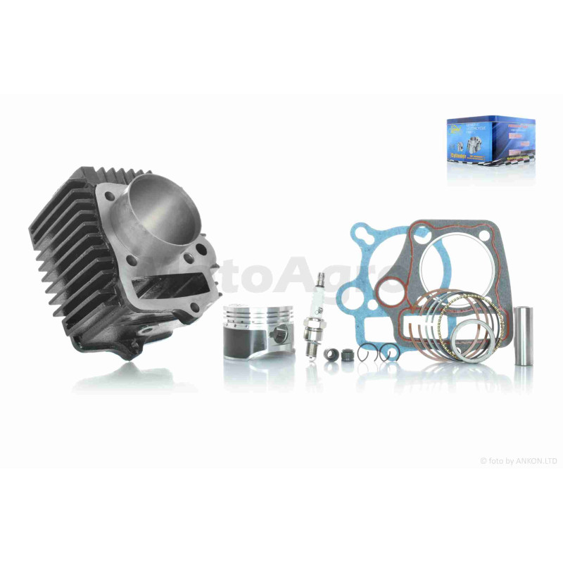 ЦПГ  Delta 110, ATV110  D52.4, p14, h69, чавун, тефлон  #PRO  "LIPAI"