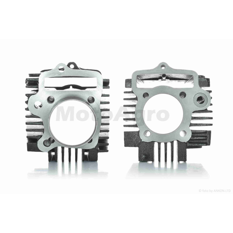 ЦПГ  Delta 110, ATV110  D52.4, p14, h69, чавун, тефлон  #PRO  "LIPAI"