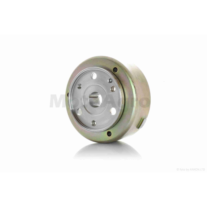 Генератор (у зборі)  Delta  5+1  "LIPAI"