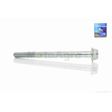 Болт лівої кришки головки ГРМ на мопед альфа на мопед дельта M6 L110 "LIPAI"