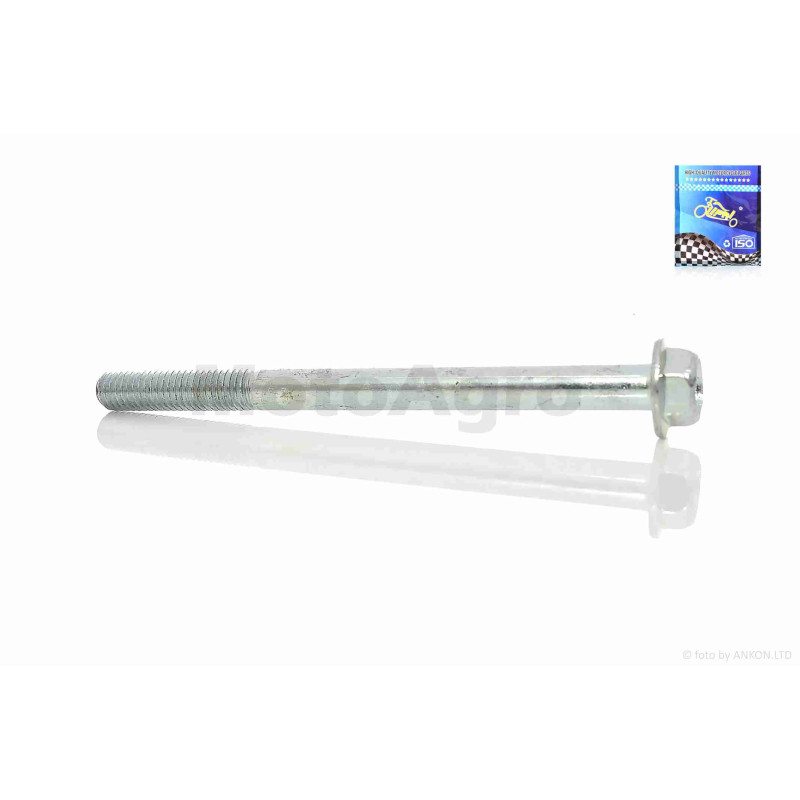 Болт лівої кришки головки ГРМ  Alpha, Delta  M6  L110  "LIPAI"