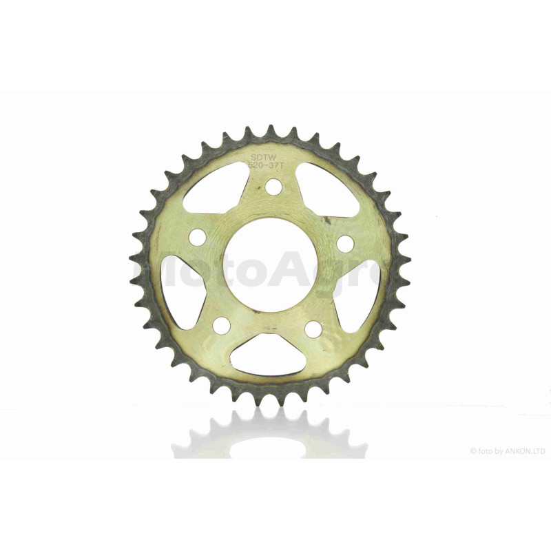 Зірка трансмісії задня  5-95/59, d64, D193  520-37T  V200/250-F2  "SDTW"